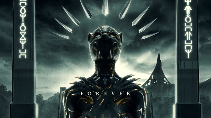 What Is The Battle Cry Of Wakanda? Here's Everything You Need To Know