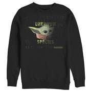 Men's Star Wars: The Mandalorian The Child Unknown Species  Adult Sweatshirt