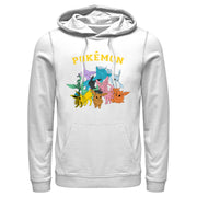 Men's Pokemon Eeveelutions  Adult Pull Over Hoodie