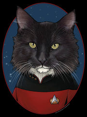 Men's Star Trek: The Next Generation Number One Commander William T Riker Cat  Adult T-Shirt