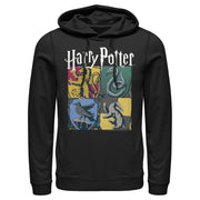 Men's Harry Potter Hogwarts Houses Vintage Collage  Adult Pull Over Hoodie