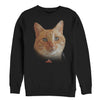 Men's Marvel Captain Marvel Goose Cat Portrait  Adult Sweatshirt