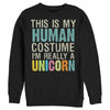 Men's Lost Gods Unicorn in Human Costume  Adult Sweatshirt