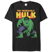 Men's Marvel Incredible Hulk  Adult T-Shirt