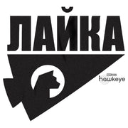 Men's Marvel Hawkeye Russian Hawkeye Logo  Adult T-Shirt