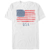 Men's Lost Gods Fourth of July  USA Flag Freedom  Adult T-Shirt