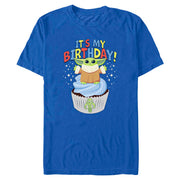 Men's Its My Birthday Short Sleeve T-Shirt