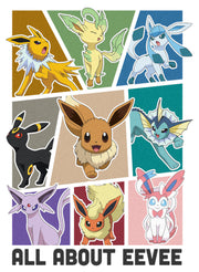 Men's Pokemon All About Eevee Eeveeloution  Adult T-Shirt