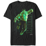 Men's Marvel Avengers: Infinity War Hulk Portrait  Adult T-Shirt