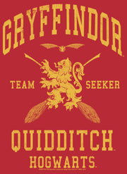 Men's Harry Potter Gryffindor Quidditch Gold Team Seeker  Adult Pull Over Hoodie