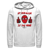 Men's Marvel Spider-Man: No Way Home The Man  Adult Pull Over Hoodie