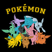 Men's Pokemon Eeveelutions  Adult Pull Over Hoodie