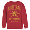 Men's Harry Potter Gryffindor Quidditch Gold Team Seeker  Adult Sweatshirt