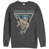 Men's Marvel Triangle Spider-Man  Adult Sweatshirt