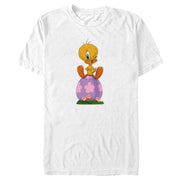 Men's Looney Tunes Easter Egg Tweety  Adult T-Shirt