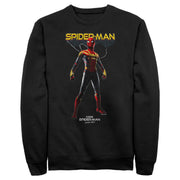 Men's Marvel Spider-Man: No Way Home Web Hero  Adult Sweatshirt