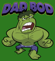 Men's Marvel Dad Bod Cartoon Hulk  Adult Sweatshirt