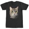 Men's Lost Gods Cat in Space  Adult T-Shirt