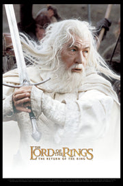 Men's The Lord of the Rings Return of the King Gandalf Movie Poster  Adult T-Shirt