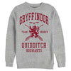 Men's Harry Potter Gryffindor Quidditch Team Seeker  Adult Sweatshirt