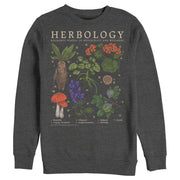 Men's Harry Potter Hogwarts Herbology  Adult Sweatshirt