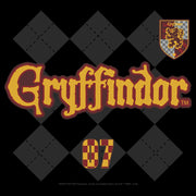 Men's Harry Potter Gryffindor Argyle Print  Adult Pull Over Hoodie