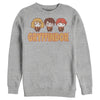 Men's Harry Potter Gryffindor Best Friends  Adult Sweatshirt