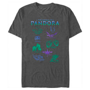 Men's Avatar The World of Pandora  Adult T-Shirt