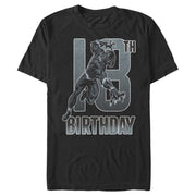 Men's Marvel Black Panther 18th Birthday Action Pose  Adult T-Shirt