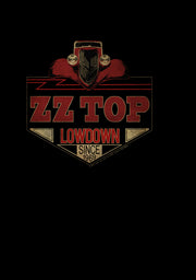 Men's ZZ TOP Lowdown  Adult Pull Over Hoodie