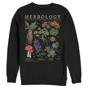 Men's Harry Potter Hogwarts Herbology  Adult Sweatshirt