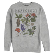 Men's Harry Potter Hogwarts Herbology  Adult Sweatshirt