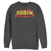 Men's Batman Logo Robin Boy Wonder  Adult Sweatshirt