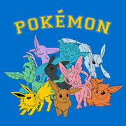 Men's Pokemon Eeveelutions  Adult Pull Over Hoodie