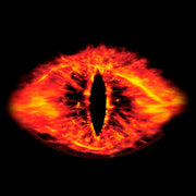 Men's The Lord of the Rings Fellowship of the Ring Eye of Sauron  Adult T-Shirt