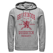 Men's Harry Potter Gryffindor Quidditch Team Seeker  Adult Pull Over Hoodie