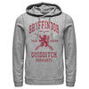 Men's Harry Potter Gryffindor Quidditch Team Seeker  Adult Pull Over Hoodie