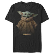 Men's Star Wars: The Mandalorian The Child Jacket  Adult T-Shirt