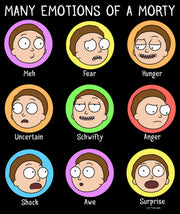 Men's Rick And Morty Many Emotions of a Morty  Adult T-Shirt