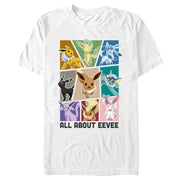 Men's Pokemon All About Eevee Eeveeloution  Adult T-Shirt