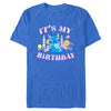 Men's Lilo & Stitch It's My Birthday Distressed  Adult T-Shirt