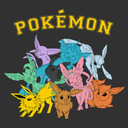 Men's Pokemon Eeveelutions  Adult Pull Over Hoodie