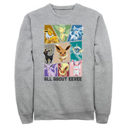 Men's Pokemon All About Eevee Eeveeloution  Adult Sweatshirt