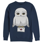 Men's Harry Potter Cartoon Hedwig Letter  Adult Sweatshirt