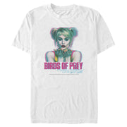 Men's Birds of Prey Harley Quinn Blur  Adult T-Shirt