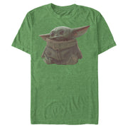 Men's Star Wars: The Mandalorian The Child Portrait  Adult T-Shirt