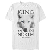 Men's Game of Thrones King in the North Direwolf  Adult T-Shirt