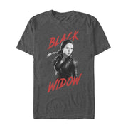 Men's Marvel Avengers: Endgame Grey Grayscale Black Widow  Adult T-Shirt