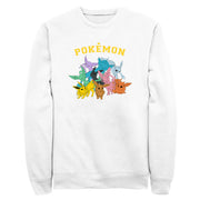 Men's Pokemon Eeveelutions  Adult Sweatshirt