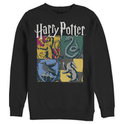 Men's Harry Potter Hogwarts Houses Vintage Collage  Adult Sweatshirt